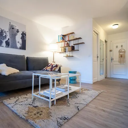 Renove Dans Le Centre Pieton De Lejlighed *